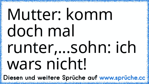 Mutter: komm doch mal runter,...
sohn: ich wars nicht!