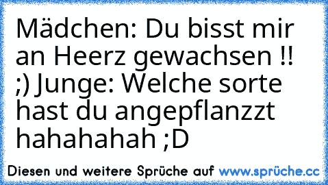 Mädchen: Du bisst mir an Heerz gewachsen !! ;) ♥
Junge: Welche sorte hast du angepflanzzt 
hahahahah ;D