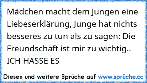 Mädchen macht dem Jungen eine Liebeserklärung, Junge hat nichts besseres zu tun als zu sagen: Die Freundschaft ist mir zu wichtig.. ICH HASSE ES