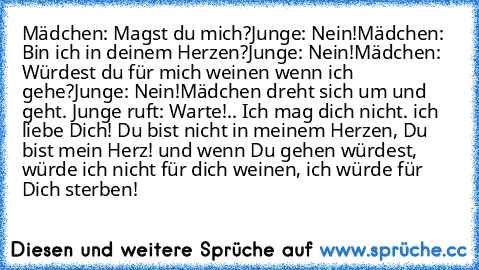 Mädchen: Magst du mich?
Junge: Nein!
Mädchen: Bin ich in deinem Herzen?
Junge: Nein!
Mädchen: Würdest du für mich weinen wenn ich gehe?
Junge: Nein!
Mädchen dreht sich um und geht. Junge ruft: Warte!.. Ich mag dich nicht. ich liebe Dich! Du bist nicht in meinem Herzen, Du bist mein Herz! und wenn Du gehen würdest, würde ich nicht für dich weinen, ich würde für Dich sterben! ♥