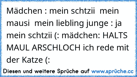 Mädchen : mein schtzii ♥ mein mausi ♥ mein liebling ♥
junge : ja mein schtzii (: ♥
mädchen: HALTS MAUL ARSCHLOCH ich rede mit der Katze 
(: