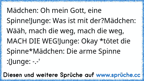 Mädchen: Oh mein Gott, eine Spinne!
Junge: Was ist mit der?
Mädchen: Wääh, mach die weg, mach die weg, MACH DIE WEG!
Junge: Okay *tötet die Spinne*
Mädchen: Die arme Spinne :(
Junge: -.-'