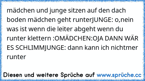 mädchen und junge sitzen auf den dach boden mädchen geht runter
JUNGE: o,nein was ist wenn die leiter abgeht wenn du runter klettern :O
MÄDCHEN:OJA DANN WÄR ES SCHLIMM
JUNGE: dann kann ich nichtmer runter