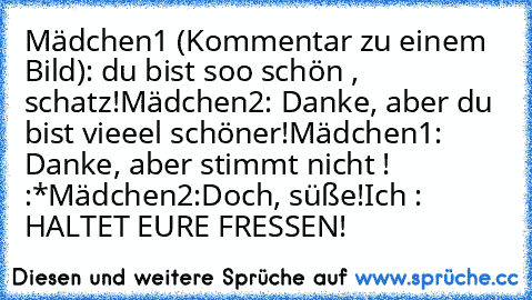 Mädchen1 (Kommentar zu einem Bild): du bist soo schön , schatz!
Mädchen2: Danke, aber du bist vieeel schöner!
Mädchen1: Danke, aber stimmt nicht ! :*
Mädchen2:Doch, süße!
Ich : HALTET EURE FRESSEN!