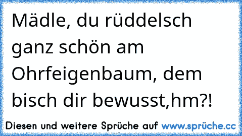 Mädle, du rüddelsch ganz schön am Ohrfeigenbaum, dem bisch dir bewusst,hm?!