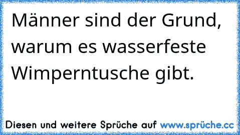 Männer sind der Grund, warum es wasserfeste Wimperntusche gibt.