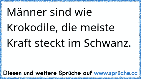 Männer sind wie Krokodile, die meiste Kraft steckt im Schwanz.