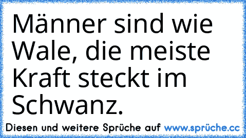 Männer sind wie Wale, die meiste Kraft steckt im Schwanz.