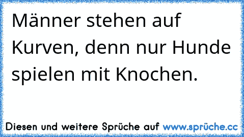 Männer stehen auf Kurven, denn nur Hunde spielen mit Knochen.