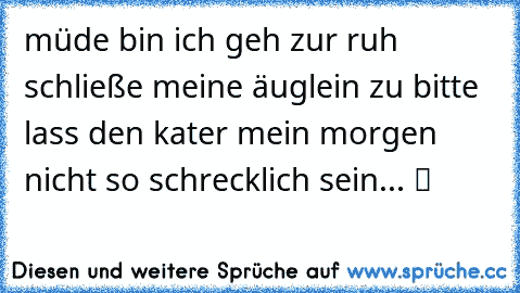 müde bin ich geh zur ruh schließe meine äuglein zu bitte lass den kater mein morgen nicht so schrecklich sein... ツ