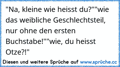 "Na, kleine wie heisst du?"
"wie das weibliche Geschlechtsteil, nur ohne den ersten Buchstabe!"
"wie, du heisst Otze?!"