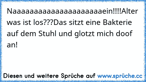 Naaaaaaaaaaaaaaaaaaaaaein!!!!
Alter was ist los???
Das sitzt eine Bakterie auf dem Stuhl und glotzt mich doof an!