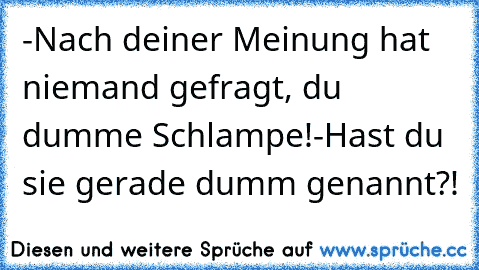 -Nach deiner Meinung hat niemand gefragt, du dumme Schlampe!
-Hast du sie gerade dumm genannt?!