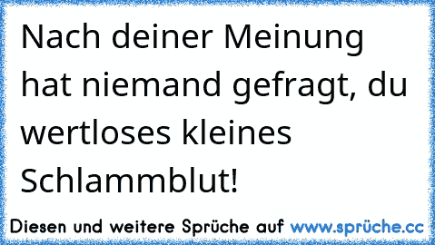 Nach deiner Meinung hat niemand gefragt, du wertloses kleines Schlammblut!