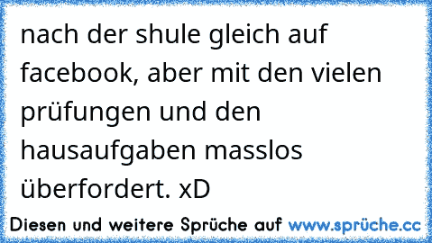 nach der shule gleich auf facebook, aber mit den vielen prüfungen und den hausaufgaben masslos überfordert. xD