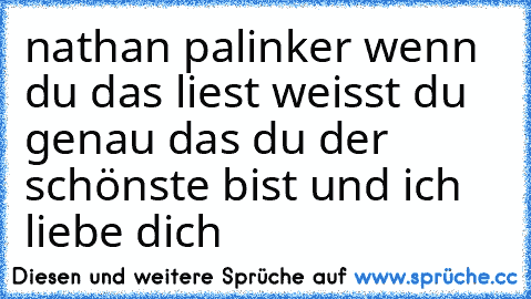 nathan palinker wenn du das liest weisst du genau das du der schönste bist und ich liebe dich