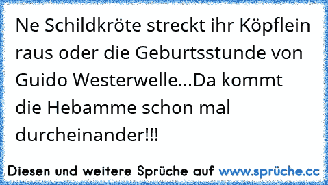 Ne Schildkröte streckt ihr Köpflein raus oder die Geburtsstunde von Guido Westerwelle...Da kommt die Hebamme schon mal durcheinander!!!