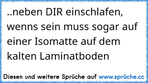 ..neben DIR einschlafen, wenns sein muss sogar auf einer Isomatte auf dem kalten Laminatboden 