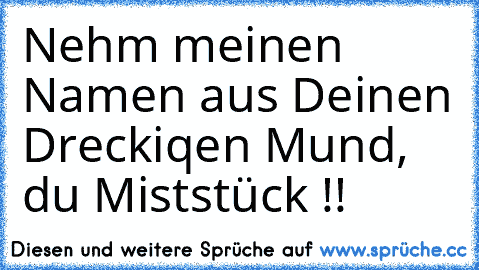 Nehm meinen Namen aus Deinen Dreckiqen Mund, du Miststück !!