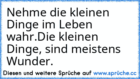 Nehme die kleinen Dinge im Leben wahr.
Die kleinen Dinge, sind meistens Wunder.