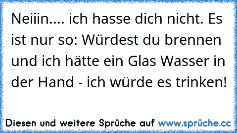 Neiiin.... ich hasse dich nicht. Es ist nur so: Würdest du brennen und ich hätte ein Glas Wasser in der Hand - ich würde es trinken!