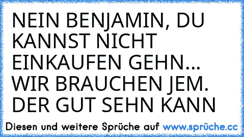 NEIN BENJAMIN, DU KANNST NICHT EINKAUFEN GEHN... WIR BRAUCHEN JEM. DER GUT SEHN KANN