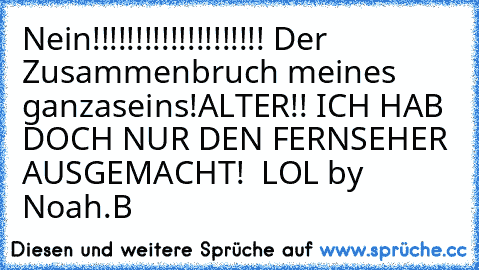 Nein!!!!!!!!!!!!!!!!!!!! Der Zusammenbruch meines ganzaseins!
ALTER!! ICH HAB DOCH NUR DEN FERNSEHER AUSGEMACHT!  
LOL 
by Noah.B