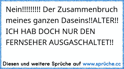 Nein!!!!!!!!! Der Zusammenbruch meines ganzen Daseins!!
ALTER!! ICH HAB DOCH NUR DEN FERNSEHER AUSGASCHALTET!!