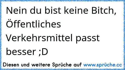 Nein du bist keine Bitch, Öffentliches Verkehrsmittel passt besser ;D