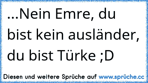 ...Nein Emre, du bist kein ausländer, du bist Türke ;D