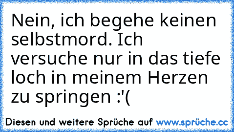 Nein, ich begehe keinen selbstmord. Ich versuche nur in das tiefe loch in meinem Herzen zu springen :'(