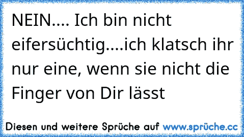 NEIN.... Ich bin nicht eifersüchtig....ich klatsch ihr nur eine, wenn sie nicht die Finger von Dir lässt