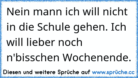 Nein mann ich will nicht in die Schule gehen. Ich will lieber noch n'bisschen Wochenende.