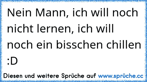 Nein Mann, ich will noch nicht lernen, ich will noch ein bisschen chillen :D