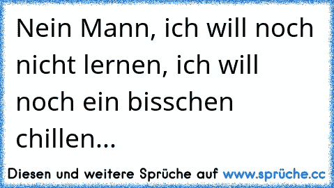 Nein Mann, ich will noch nicht lernen, ich will noch ein bisschen chillen...