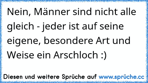 Nein, Männer sind nicht alle gleich - jeder ist auf seine eigene, besondere Art und Weise ein Arschloch :)