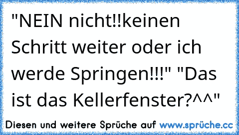 "NEIN nicht!!
keinen Schritt weiter oder ich werde Springen!!!" "Das ist das Kellerfenster?^^"