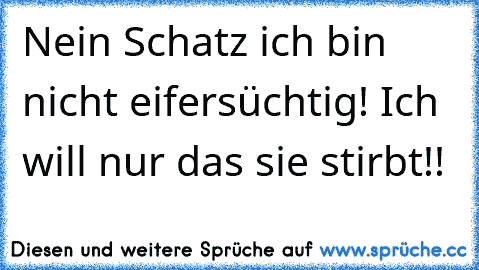 Nein Schatz ich bin nicht eifersüchtig! Ich will nur das sie stirbt!!