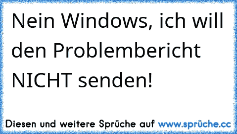 Nein Windows, ich will den Problembericht NICHT senden!