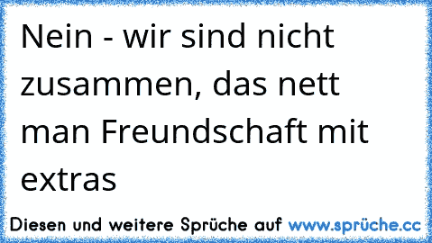 Nein - wir sind nicht zusammen, das nett man Freundschaft mit extras 