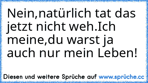 Nein,natürlich tat das jetzt nicht weh.Ich meine,du warst ja auch nur mein Leben!