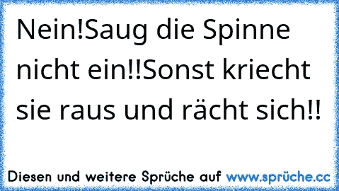 Nein!
Saug die Spinne nicht ein!!
Sonst kriecht sie raus und rächt sich!!