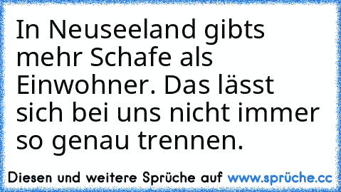 In Neuseeland gibts mehr Schafe als Einwohner. Das lässt sich bei uns nicht immer so genau trennen.