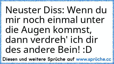 Neuster Diss: Wenn du mir noch einmal unter die Augen kommst, dann verdreh' ich dir des andere Bein! :D ♥