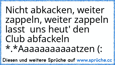 Nicht abkacken, weiter zappeln, weiter zappeln lasst  uns heut' den Club abfackeln *.*
Aaaaaaaaaaatzen (: ♥