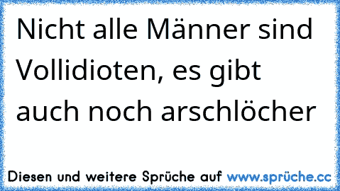 Nicht alle Männer sind Vollidioten, es gibt auch noch arschlöcher