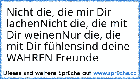 Nicht die, die mir Dir lachen
Nicht die, die mit Dir weinen
Nur die, die mit Dir fühlen
sind deine WAHREN Freunde