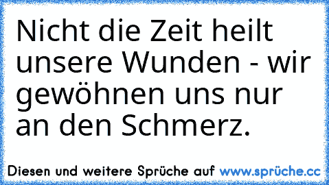 Nicht die Zeit heilt unsere Wunden - wir gewöhnen uns nur an den Schmerz.