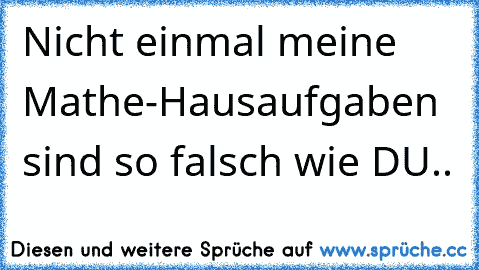 Nicht einmal meine Mathe-Hausaufgaben sind so falsch wie DU..