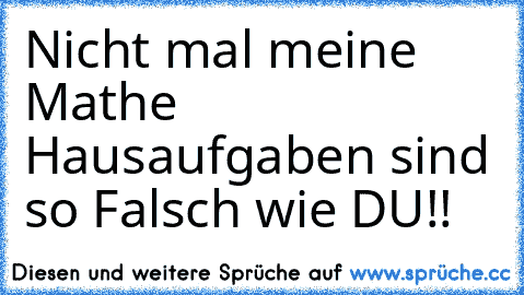 Nicht mal meine Mathe Hausaufgaben sind so Falsch wie DU!!